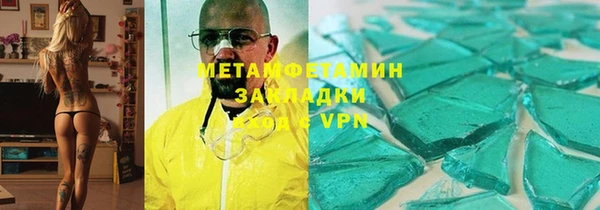 индика Бородино