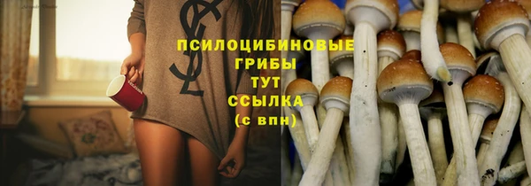 apvp Богданович