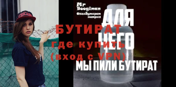 индика Бородино