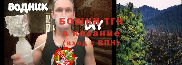 apvp Богданович