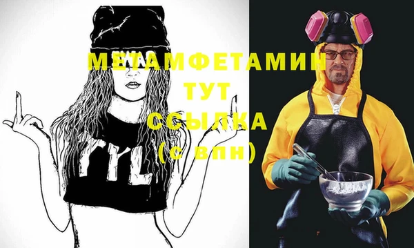 индика Бородино