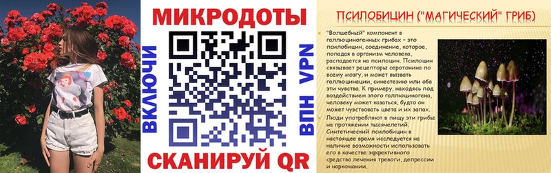 Галлюциногенные грибы Psilocybe Клинцы